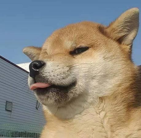 MLEM