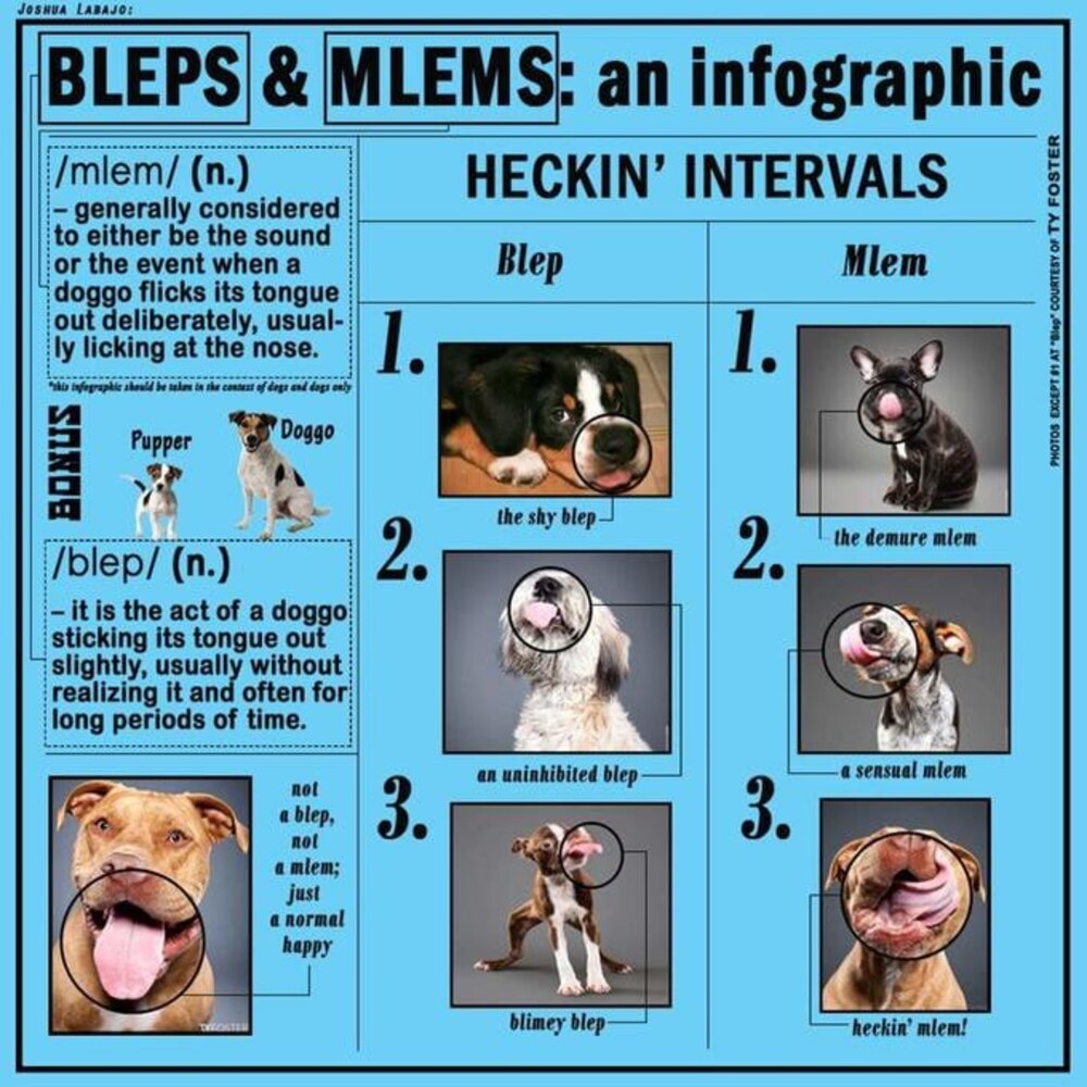 BLEPS & MLEMS: HECKIN' INTERVALS infographic